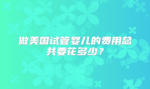 做美国试管婴儿的费用总共要花多少？