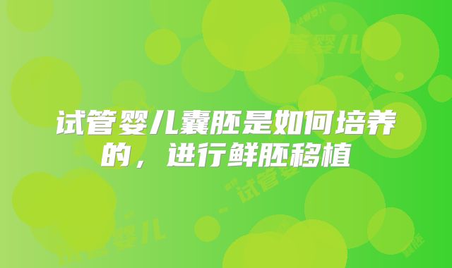 试管婴儿囊胚是如何培养的，进行鲜胚移植