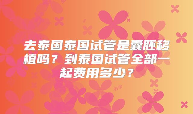 去泰国泰国试管是囊胚移植吗？到泰国试管全部一起费用多少？