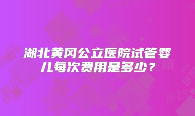 湖北黄冈公立医院试管婴儿每次费用是多少？