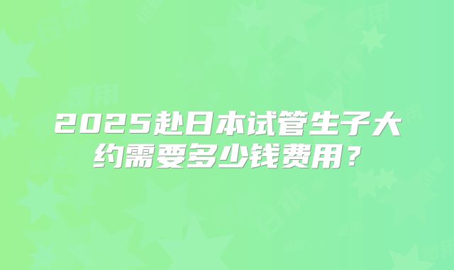 2025赴日本试管生子大约需要多少钱费用？