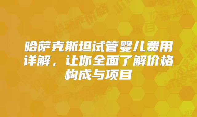 哈萨克斯坦试管婴儿费用详解，让你全面了解价格构成与项目