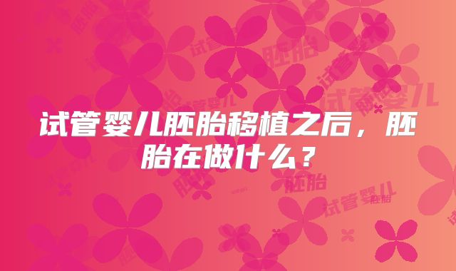 试管婴儿胚胎移植之后,胚胎在做什么?