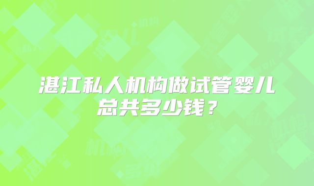 湛江私人机构做试管婴儿总共多少钱？