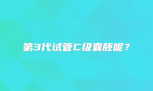 第3代试管C级囊胚呢？