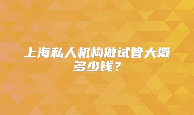 上海私人机构做试管大概多少钱？