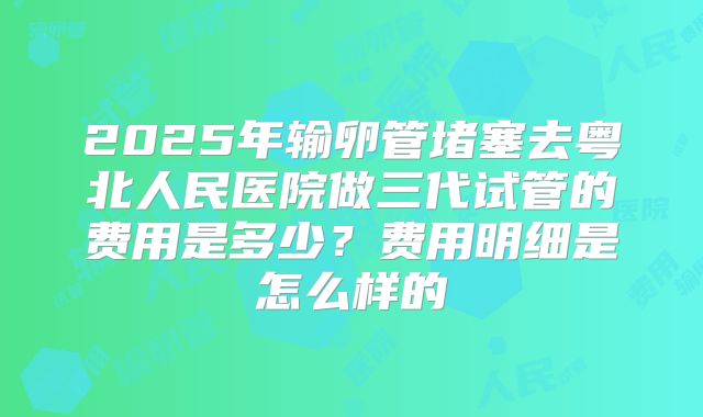 2025年输卵管堵塞去粤北人民医院做三代试管的费用是多少?费用明细是怎么样的