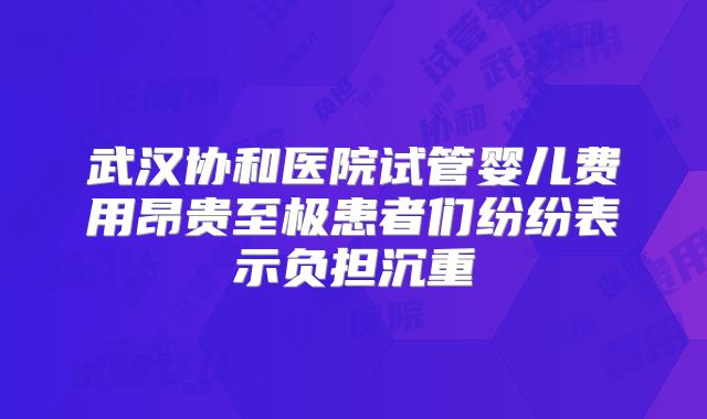 武汉协和医院试管婴儿费用昂贵至极患者们纷纷表示负担沉重