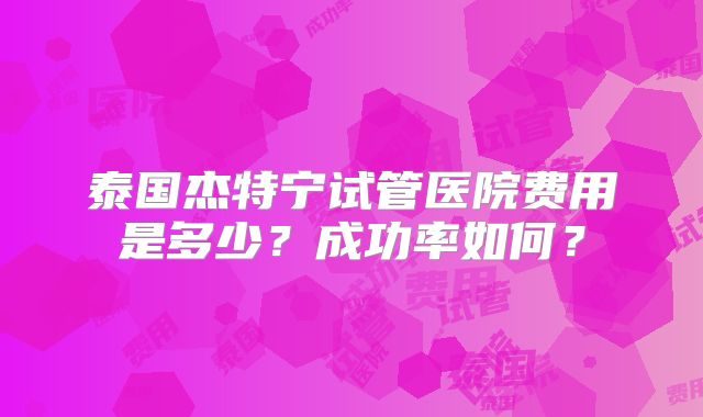 泰国杰特宁试管医院费用是多少？成功率如何？