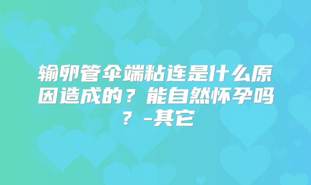 输卵管伞端粘连是什么原因造成的？能自然怀孕吗？-其它