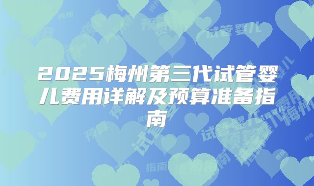2025梅州第三代试管婴儿费用详解及预算准备指南