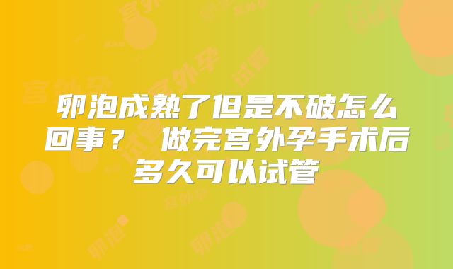 卵泡成熟了但是不破怎么回事？ 做完宫外孕手术后多久可以试管