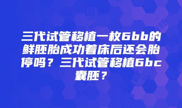 三代试管移植一枚6bb的鲜胚胎成功着床后还会胎停吗？三代试管移植6bc囊胚？