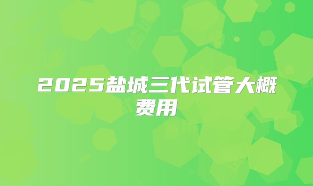 2025盐城三代试管大概费用