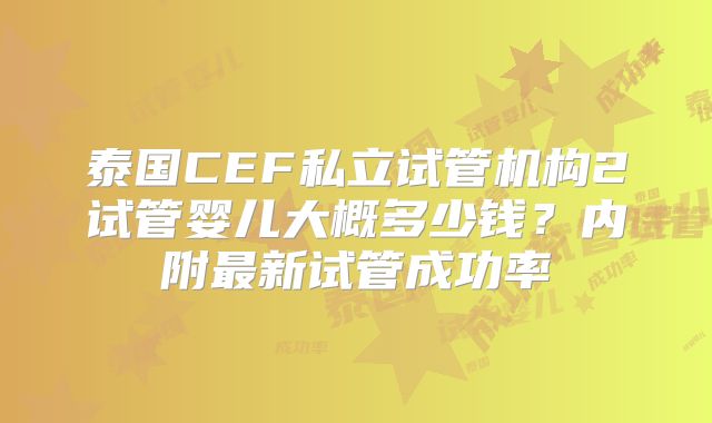 泰国CEF私立试管机构2试管婴儿大概多少钱?内附最新试管成功率