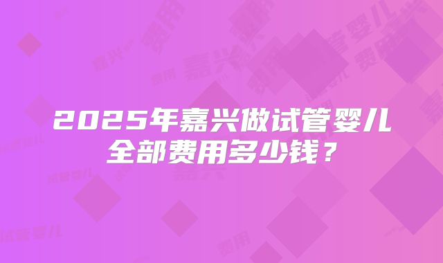 2025年嘉兴做试管婴儿全部费用多少钱？