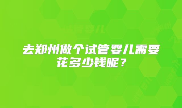 去郑州做个试管婴儿需要花多少钱呢?