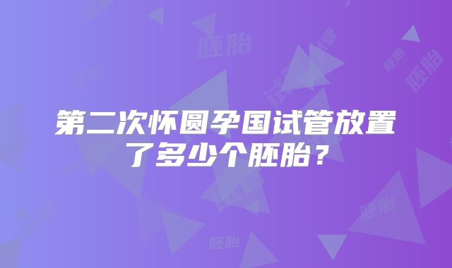 第二次怀圆孕国试管放置了多少个胚胎?