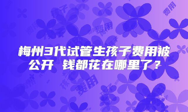 梅州3代试管生孩子费用被公开 钱都花在哪里了？
