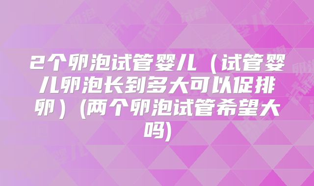 2个卵泡试管婴儿（试管婴儿卵泡长到多大可以促排卵）(两个卵泡试管希望大吗)