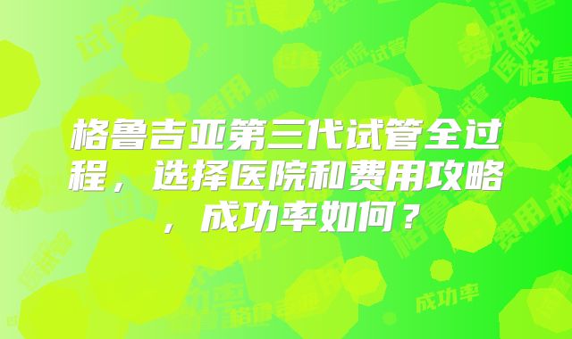 格鲁吉亚第三代试管全过程，选择医院和费用攻略，成功率如何？