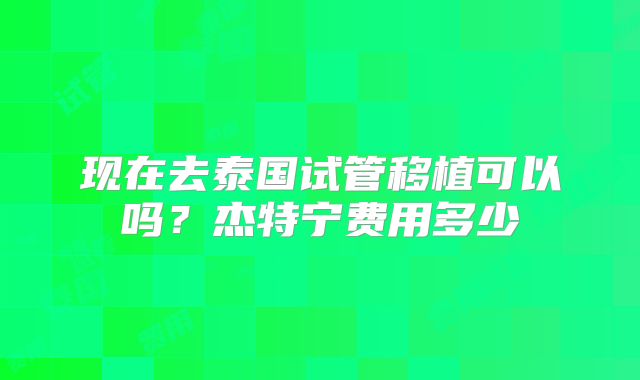 现在去泰国试管移植可以吗？杰特宁费用多少