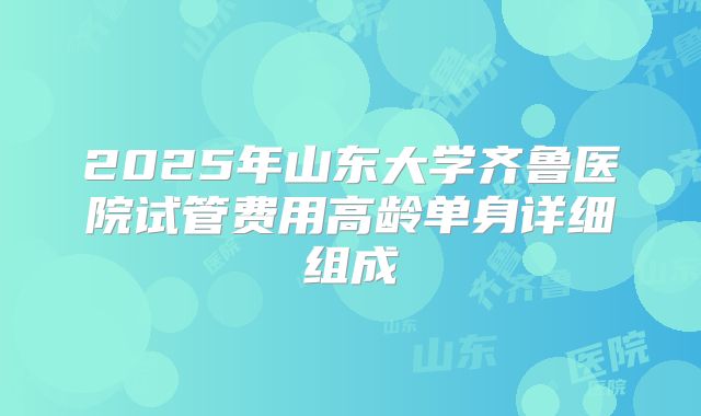 2025年山东大学齐鲁医院试管费用高龄单身详细组成
