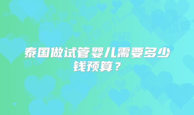 泰国做试管婴儿需要多少钱预算？