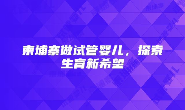 柬埔寨做试管婴儿，探索生育新希望