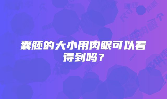 囊胚的大小用肉眼可以看得到吗？