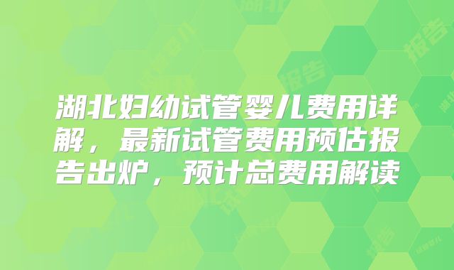 湖北妇幼试管婴儿费用详解，最新试管费用预估报告出炉，预计总费用解读