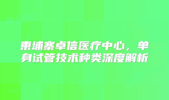 柬埔寨卓信医疗中心，单身试管技术种类深度解析