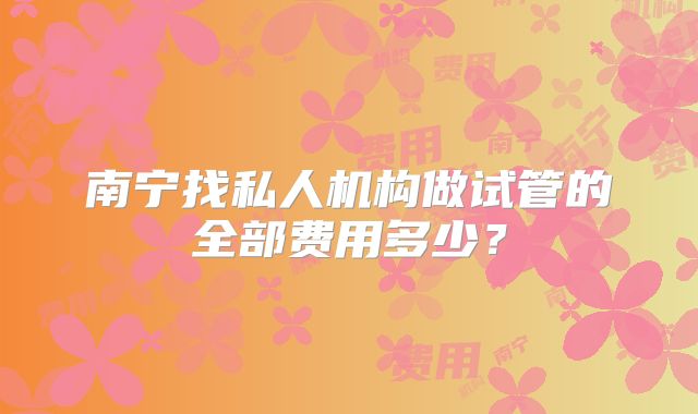 南宁找私人机构做试管的全部费用多少？