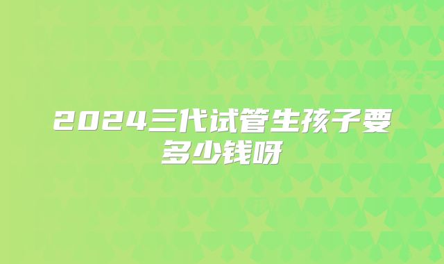 2024三代试管生孩子要多少钱呀