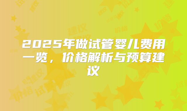 2025年做试管婴儿费用一览，价格解析与预算建议