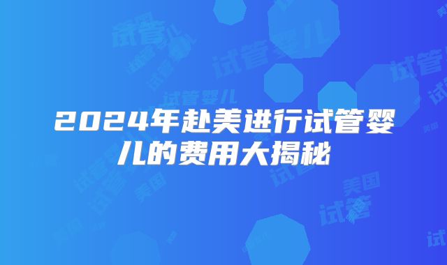 2024年赴美进行试管婴儿的费用大揭秘
