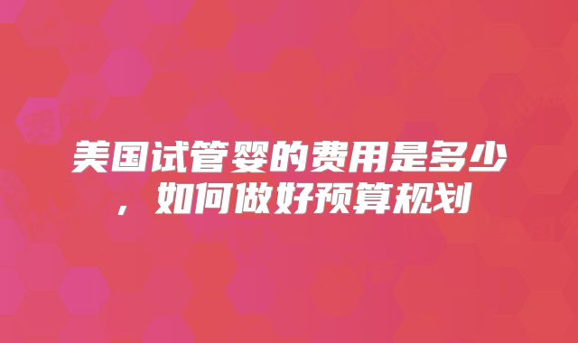 美国试管婴的费用是多少，如何做好预算规划