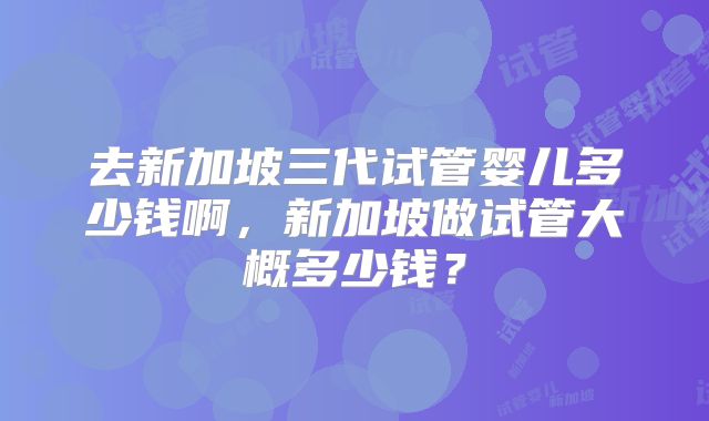 去新加坡三代试管婴儿多少钱啊，新加坡做试管大概多少钱？