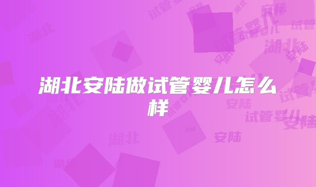 湖北安陆做试管婴儿怎么样