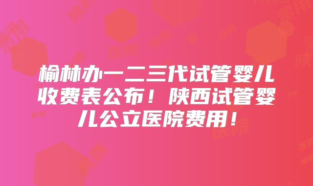 榆林办一二三代试管婴儿收费表公布！陕西试管婴儿公立医院费用！