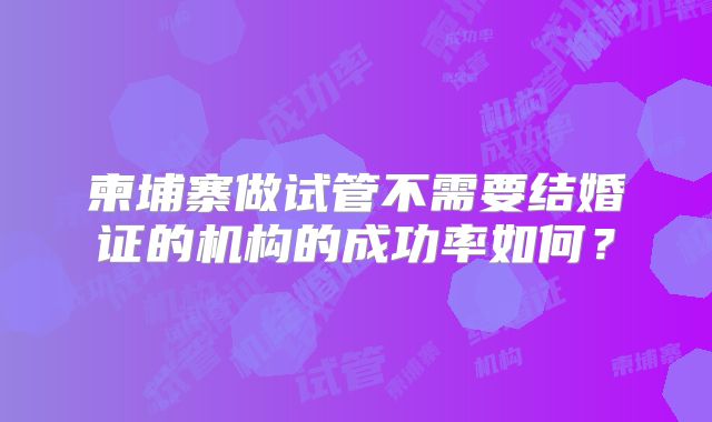 柬埔寨做试管不需要结婚证的机构的成功率如何？