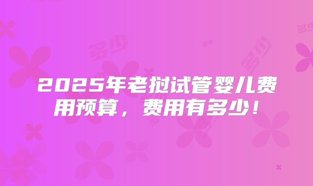 2025年老挝试管婴儿费用预算，费用有多少！