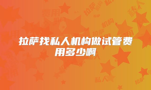拉萨找私人机构做试管费用多少啊