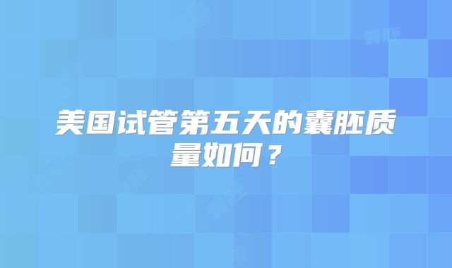 美国试管第五天的囊胚质量如何?