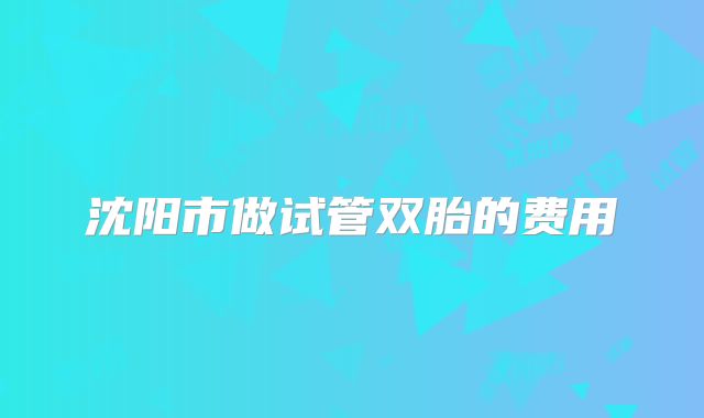 沈阳市做试管双胎的费用