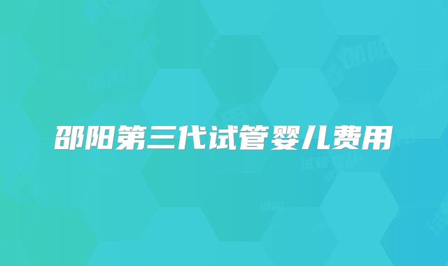 邵阳第三代试管婴儿费用