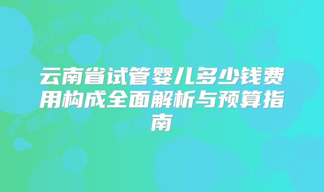 云南省试管婴儿多少钱费用构成全面解析与预算指南