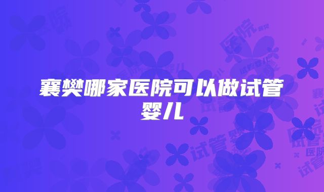 襄樊哪家医院可以做试管婴儿