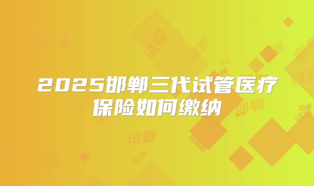 2025邯郸三代试管医疗保险如何缴纳