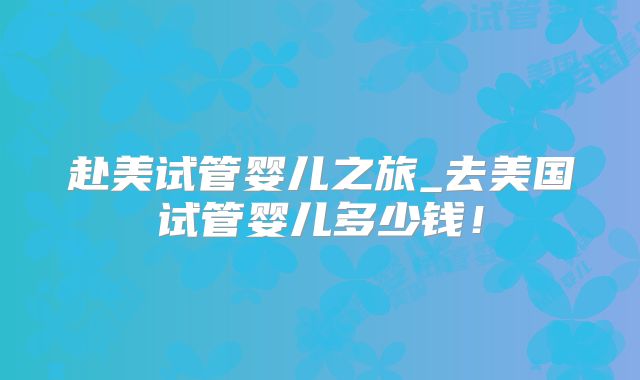 赴美试管婴儿之旅_去美国试管婴儿多少钱！